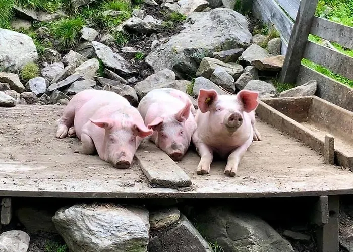 Apartamento Alps 3000-2 Umhausen